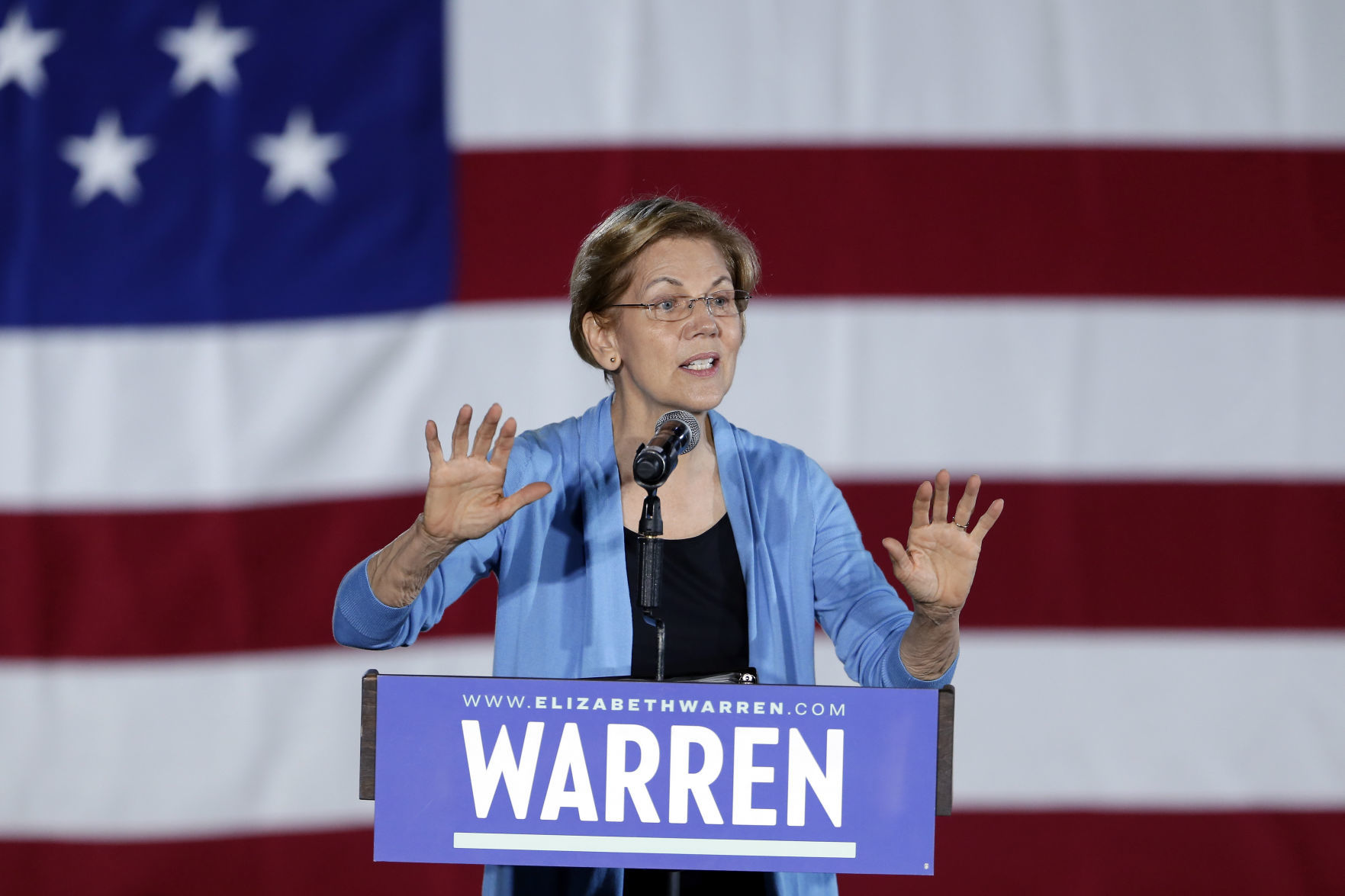 Election 2020 Elizabeth Warren